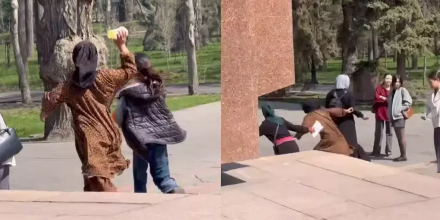 Алматыда қайыр сұрап, тас лақтырған жасөспірімдер елден шығарылады (ВИДЕО)