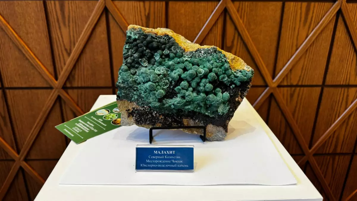 Қазақстанда сирек минералдардың 800 мың тоннаға жуық қоры бар ірі кен орны ашылды