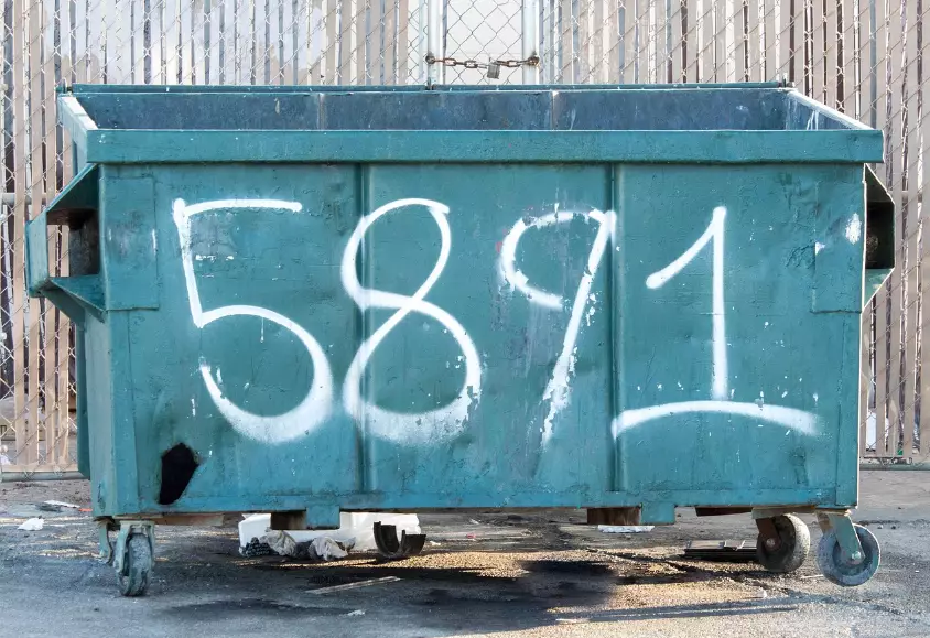 Өскеменде иттерді атып, қоқысқа тастап кеткен: бюджет ақшасы қайда кетіп жатыр?