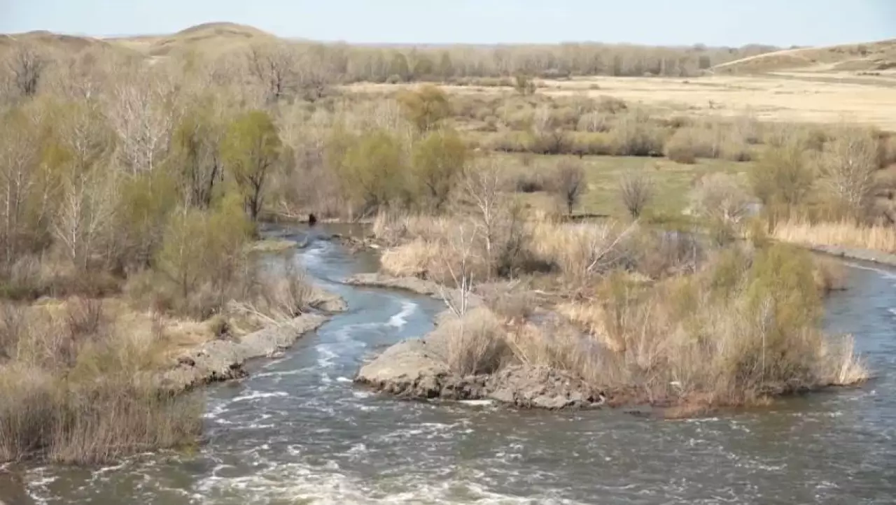 Цифровизацию агросектора обсудили в Сенате