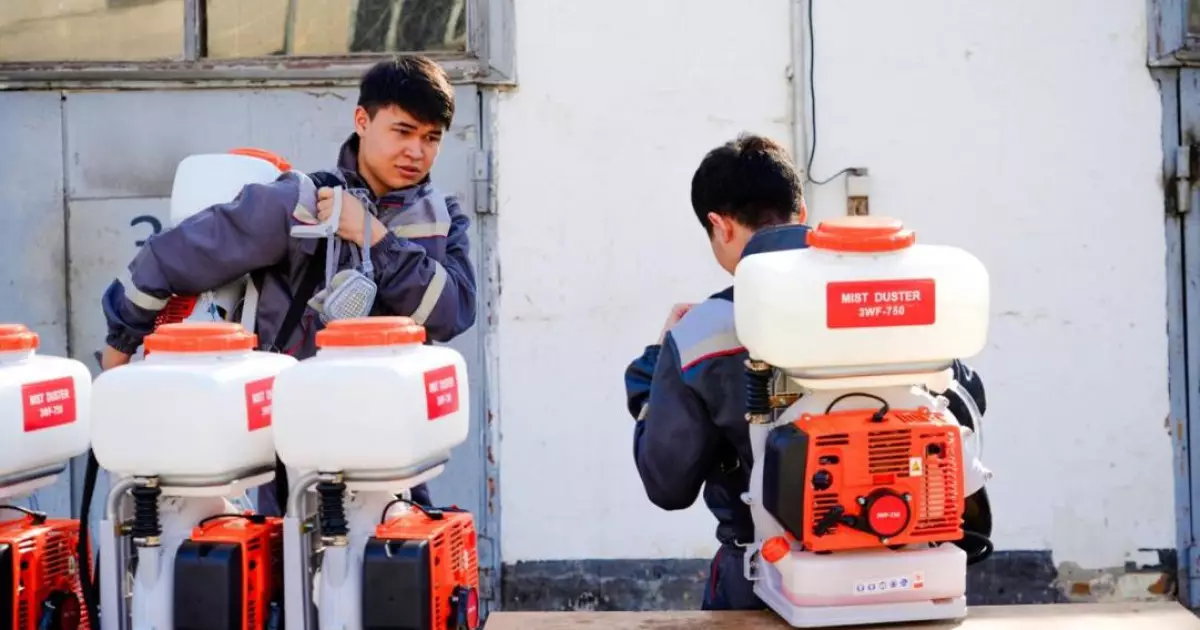   Астанада маса мен шіркейге қарсы дезинсекция маусымы басталады   