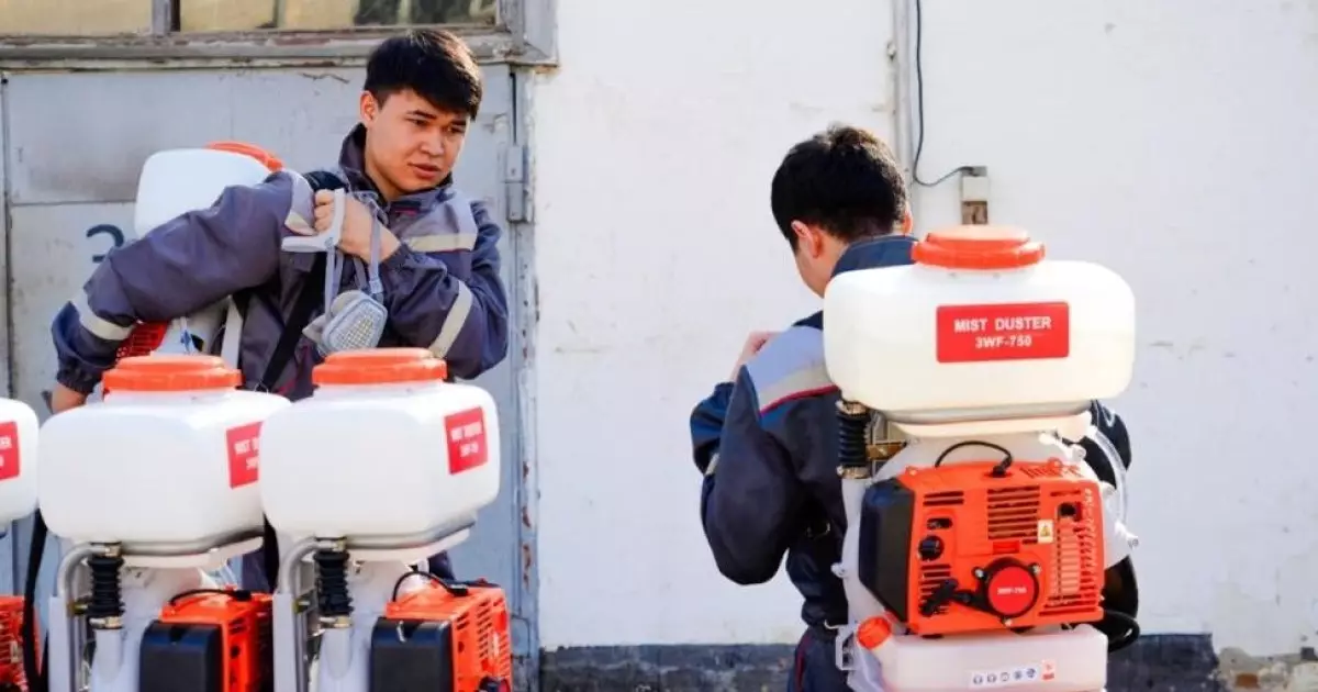  Астанада маса мен шіркейге қарсы күрес жұмысы қалай өтеді 