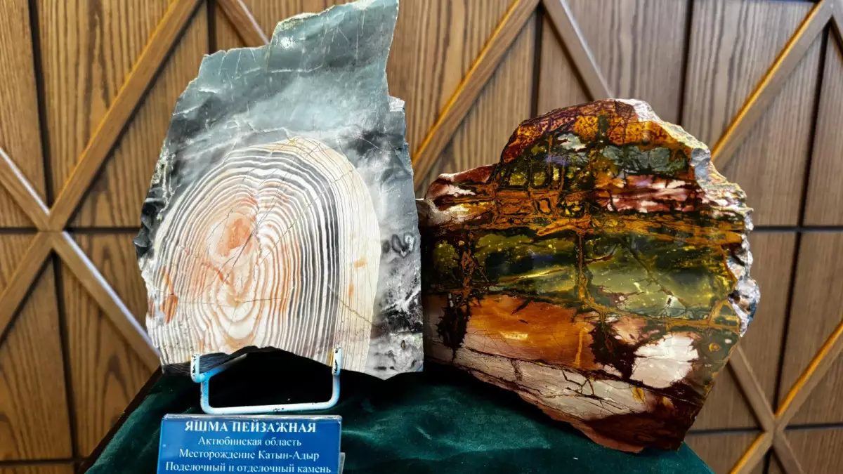 Орталық Азия минералдық ресурстарға бай: Өзбекстан инвестор тартуға басымдық беріп отыр