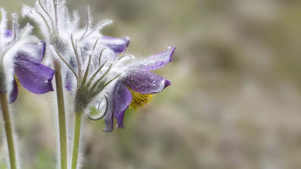 Похолодание отменяется - синоптики уточнили прогноз для Астаны и Алматы