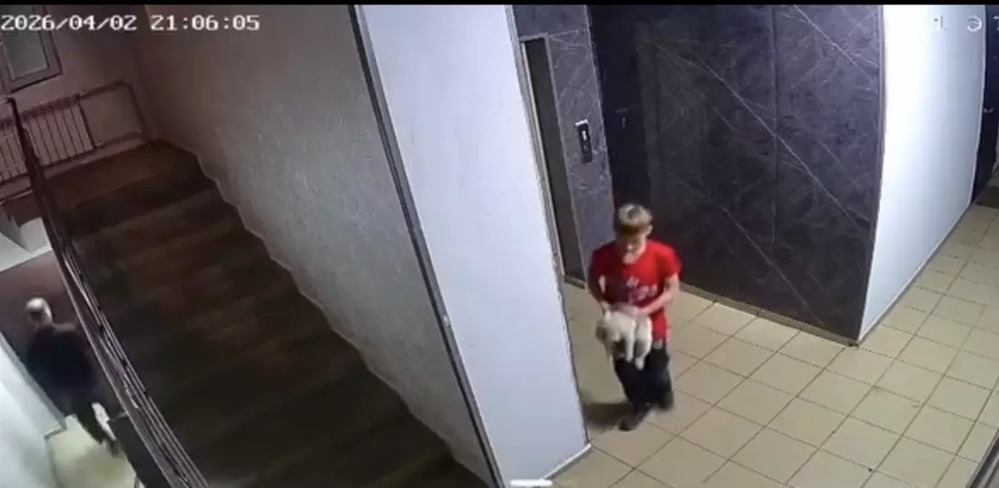 Алматыда мектеп оқушысы мысықты аяусыз қорлаған