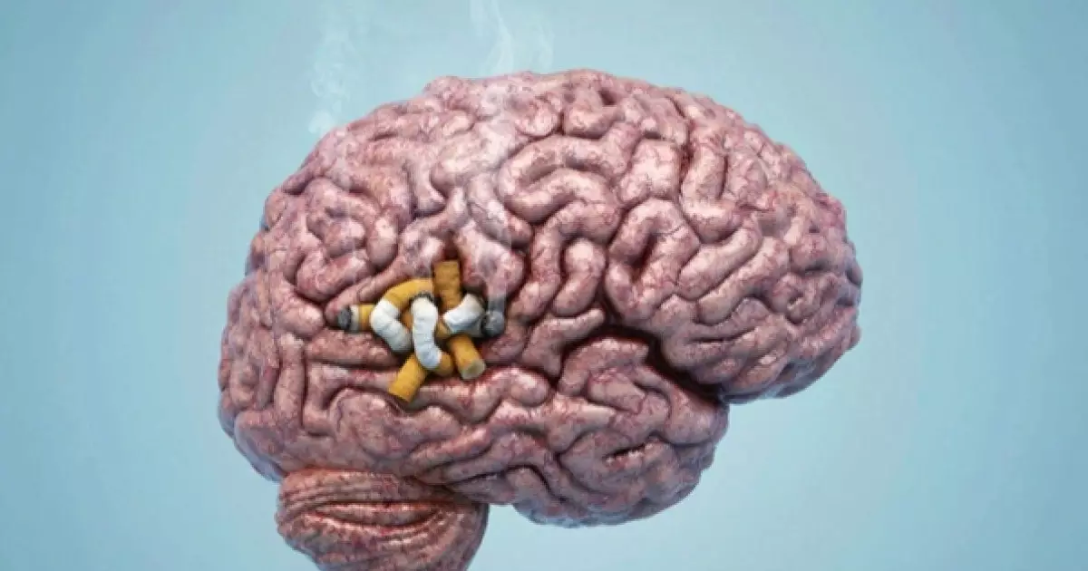  Темекі шегу миды кішірейтеді – Британ ғалымдары 