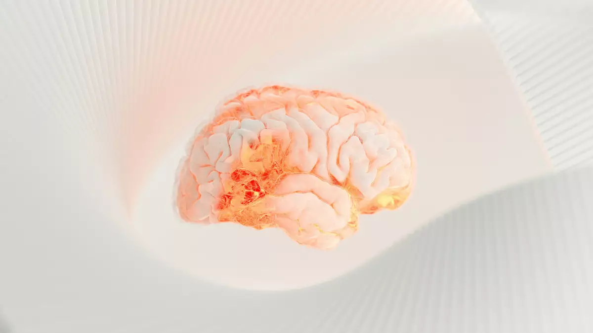 Миды «қоректендіретін» азық-түлік өнімдері анықталды