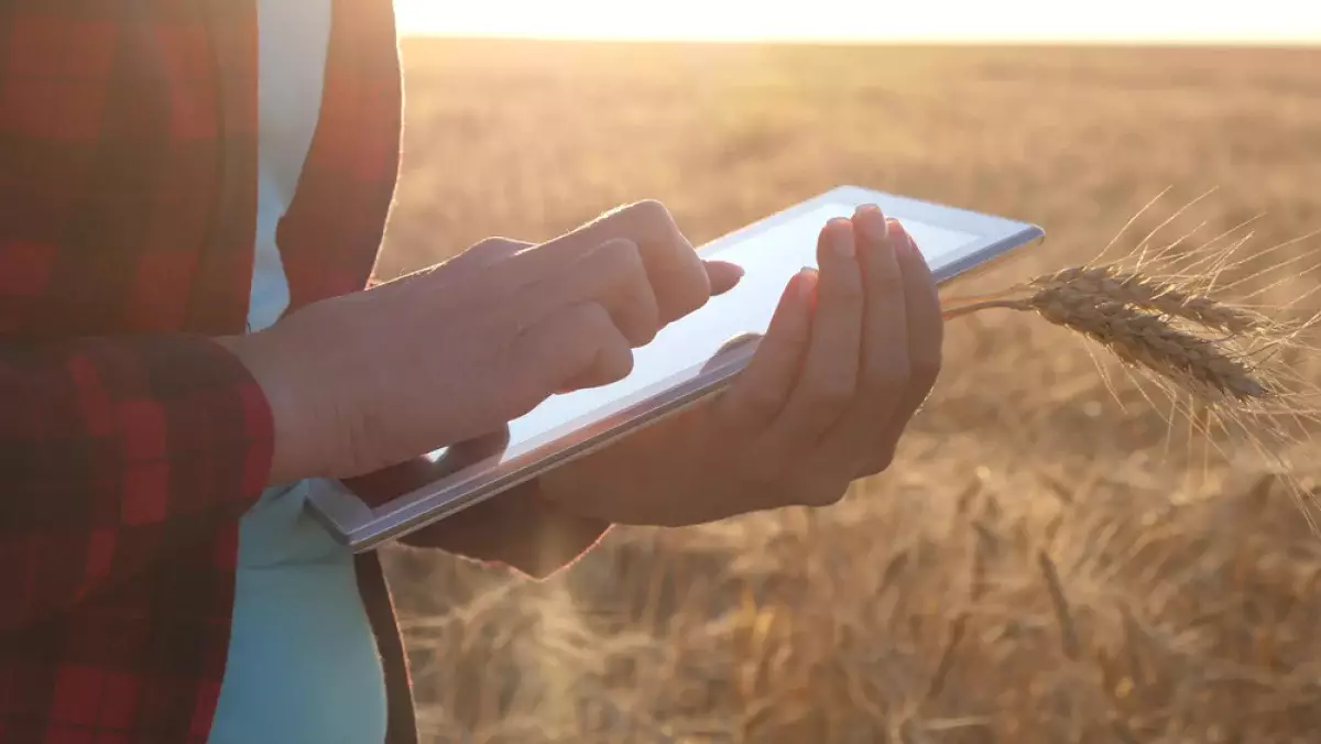 Ауыл шаруашылығының цифрлық дәуірі: жасанды интеллект суды үнемдеп, өнімділікті арттырады