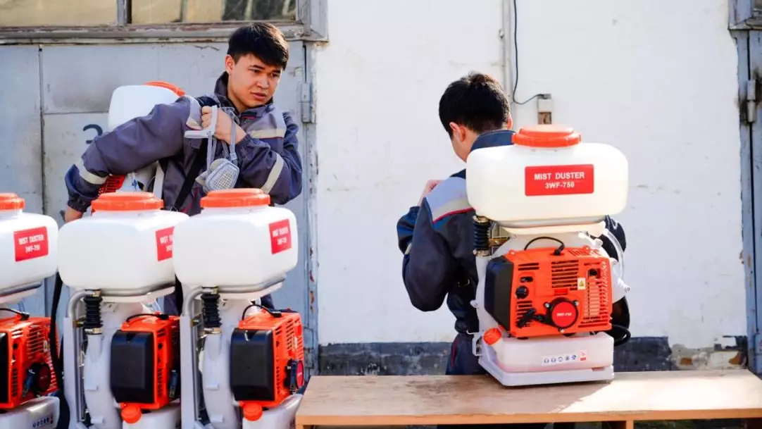 Астанада маса мен шіркейге қарсы күрес жұмысы қалай өтеді?