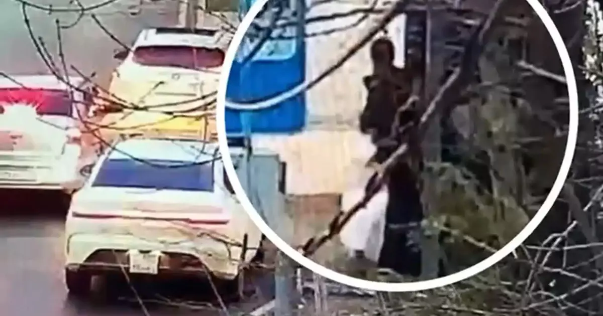  Шымкентте үш адам автобус аялдамасын талқандады (ВИДЕО) 