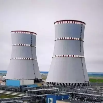 Кыргызстан может вынести строительство АЭС на референдум