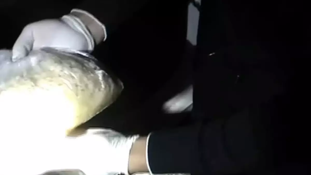 Двоих иностранцев поймали на производстве «синтетики» в области Жетысу