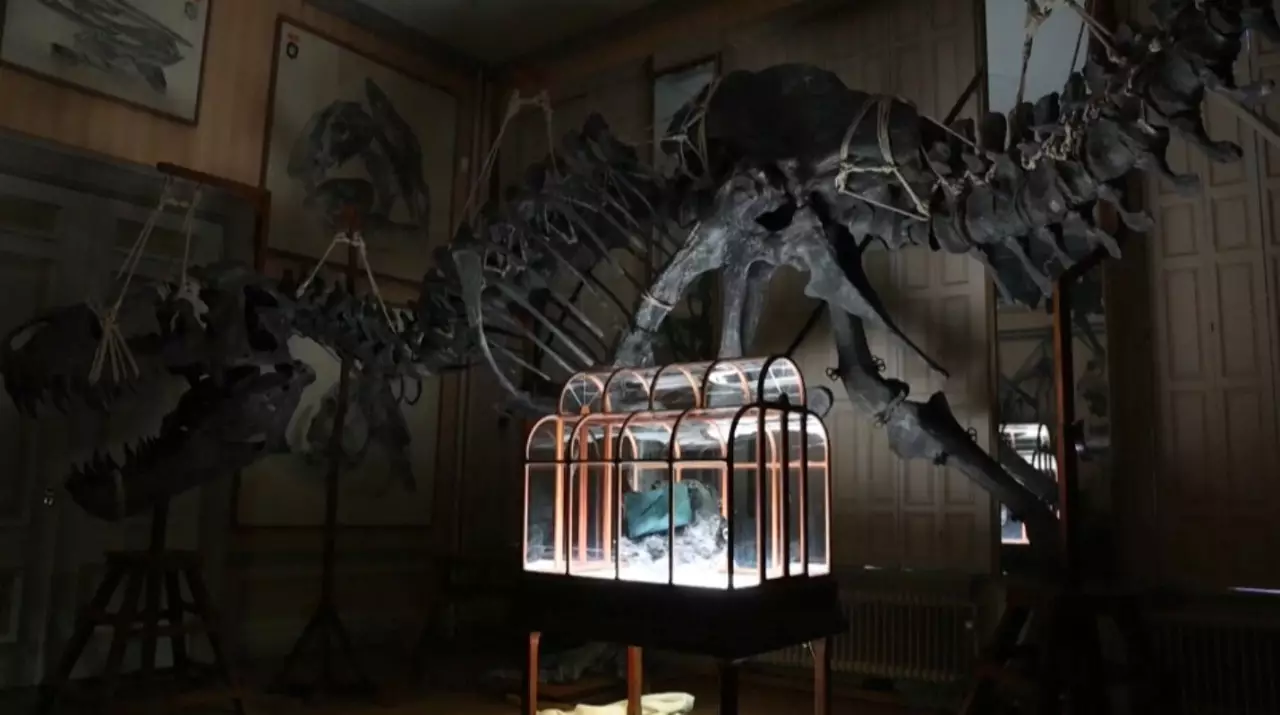 Динозавр сүйегінен жасалған сөмке