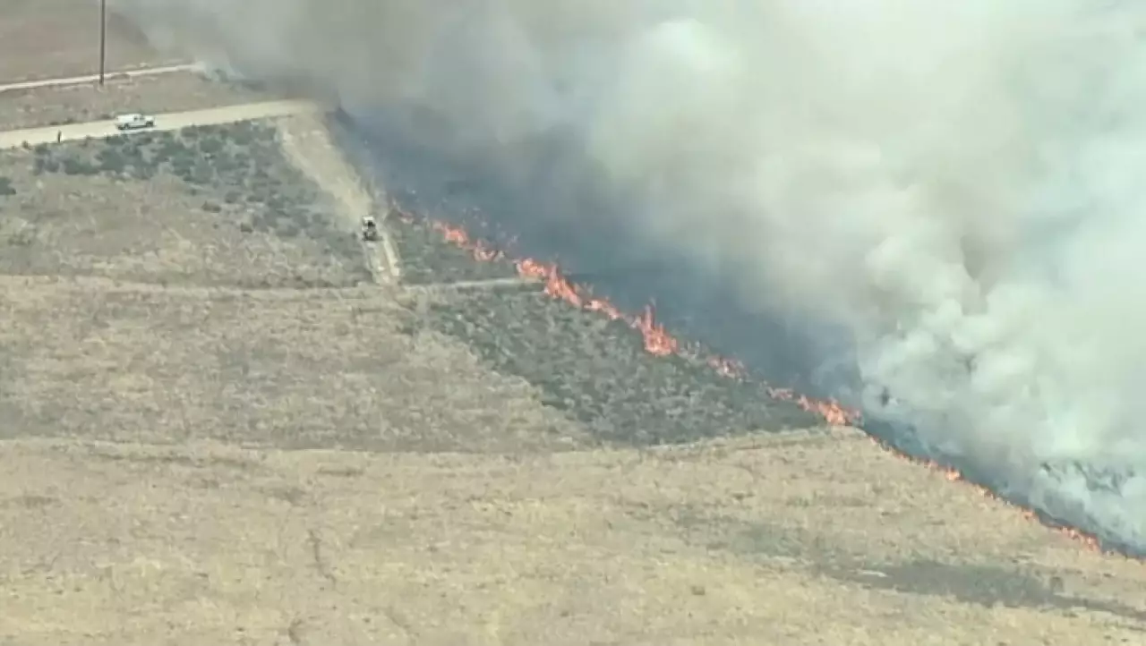 В Южной Калифорнии вспыхнул лесной пожар