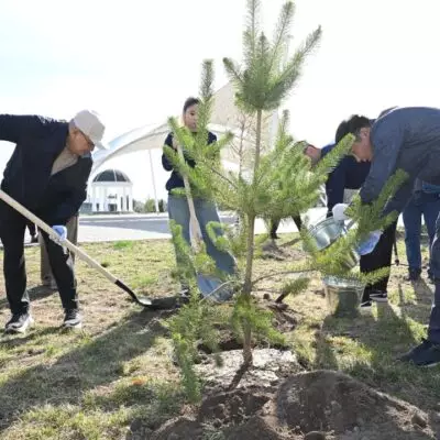 «Таза Қазақстан»: в рамках общеобластного субботника в Жетісу посадили свыше 8 тысяч деревьев