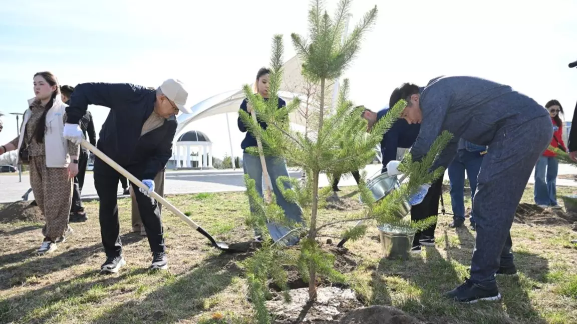 «Таза Қазақстан»: Жетісу облысында жалпыоблыстық сенбілік аясында 8 мың ағаш егілді