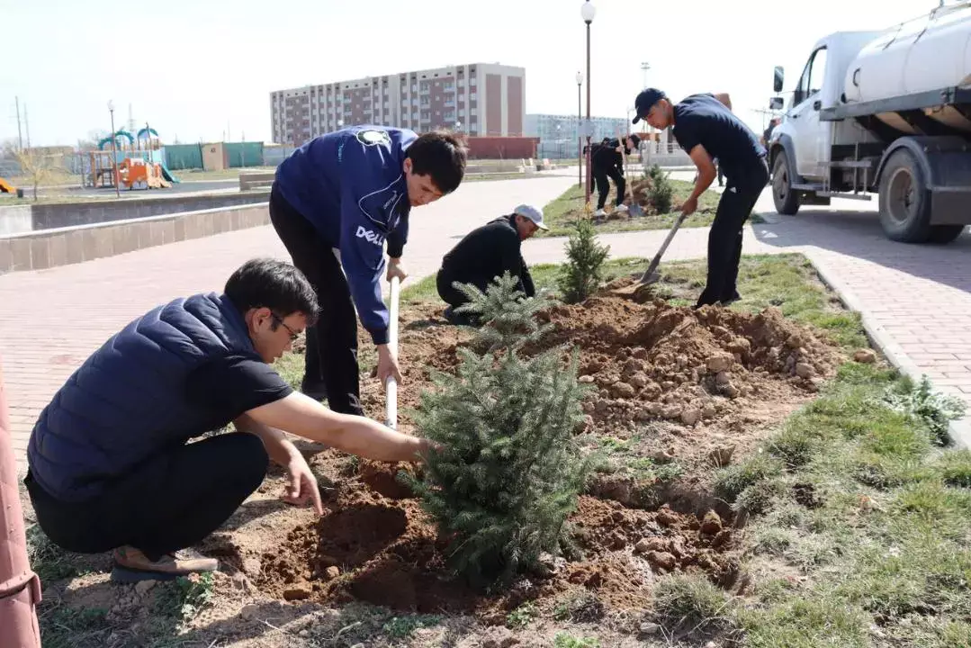 «Таза Қазақстан»: Жетісу облысында жалпыоблыстық сенбілік аясында 8 мың ағаш егілді