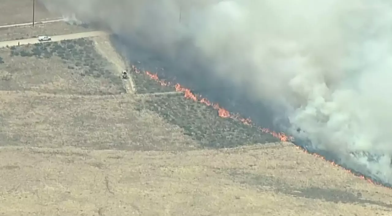 Оңтүстік Калифорнияда орман өртеніп жатыр