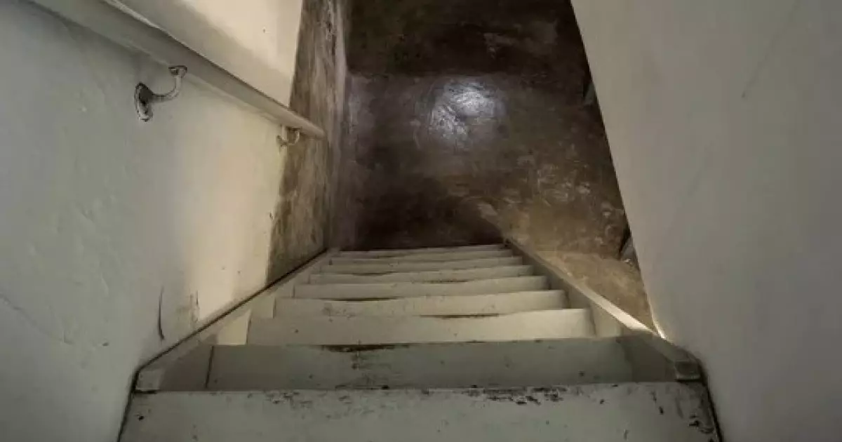  Ауыр дерті бар баланы ата-анасы жылдар бойы жертөледе ұстаған 