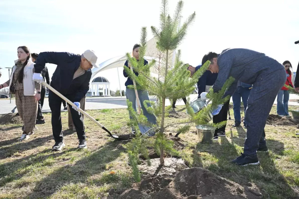 «Таза Қазақстан»: в рамках общеобластного субботника в Жетісу посадили свыше 8 тысяч деревьев