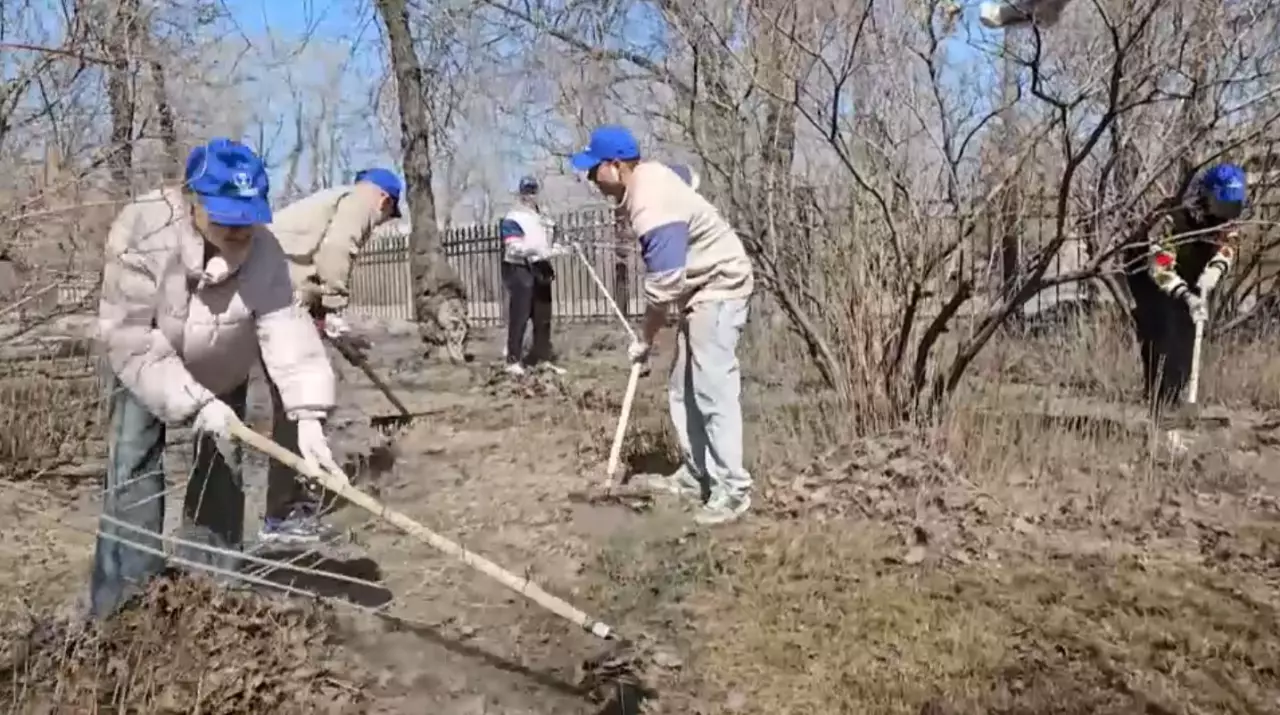 «Таза Қазақстан»: Абай облысында жасыл желек аумағы ұлғаяды