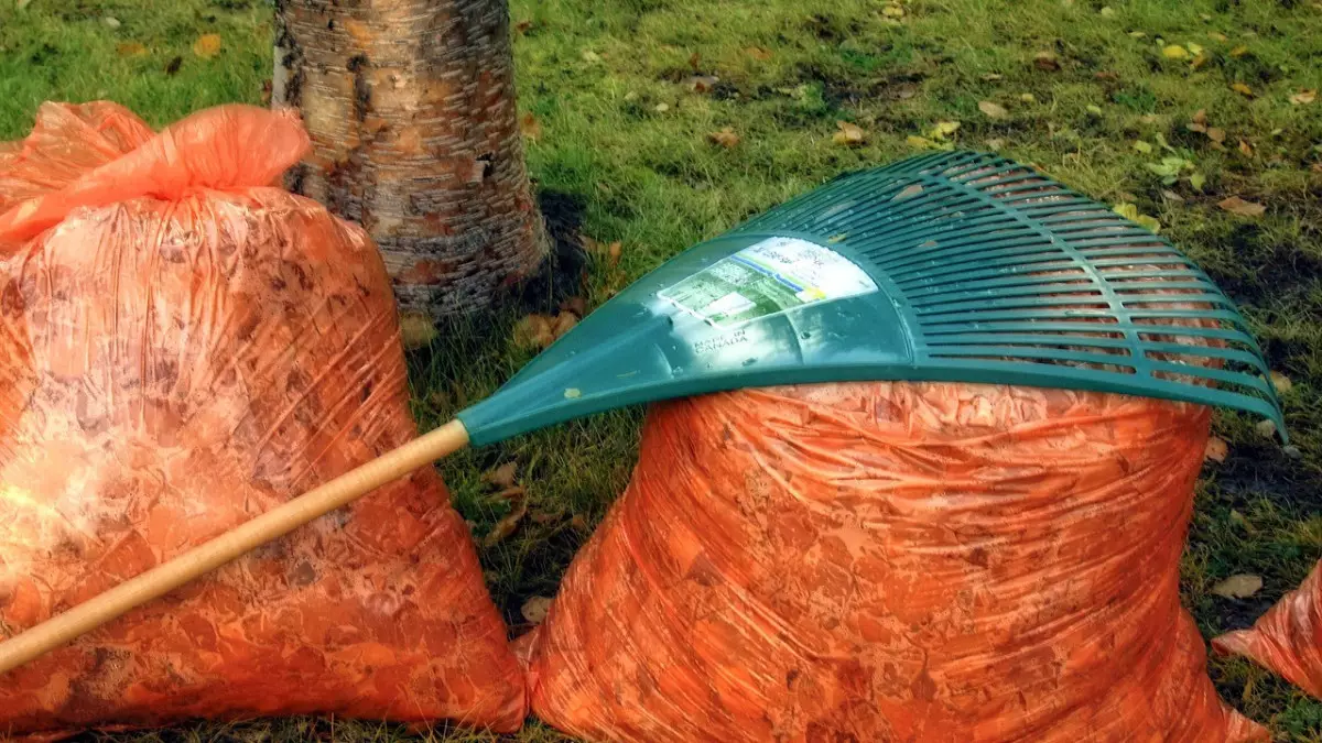 «Таза Қазақстан»: 600 тонн мусора собрали в Актау