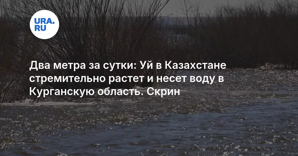 Река Уй в Казахстане стремительно разливается и несет паводковые воды в Курганскую область.