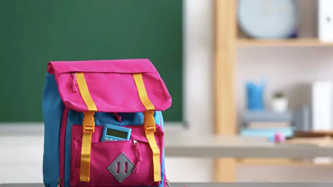 Қазақстанда 1-сыныпқа құжат қабылдау мерзімі неге өзгерді?