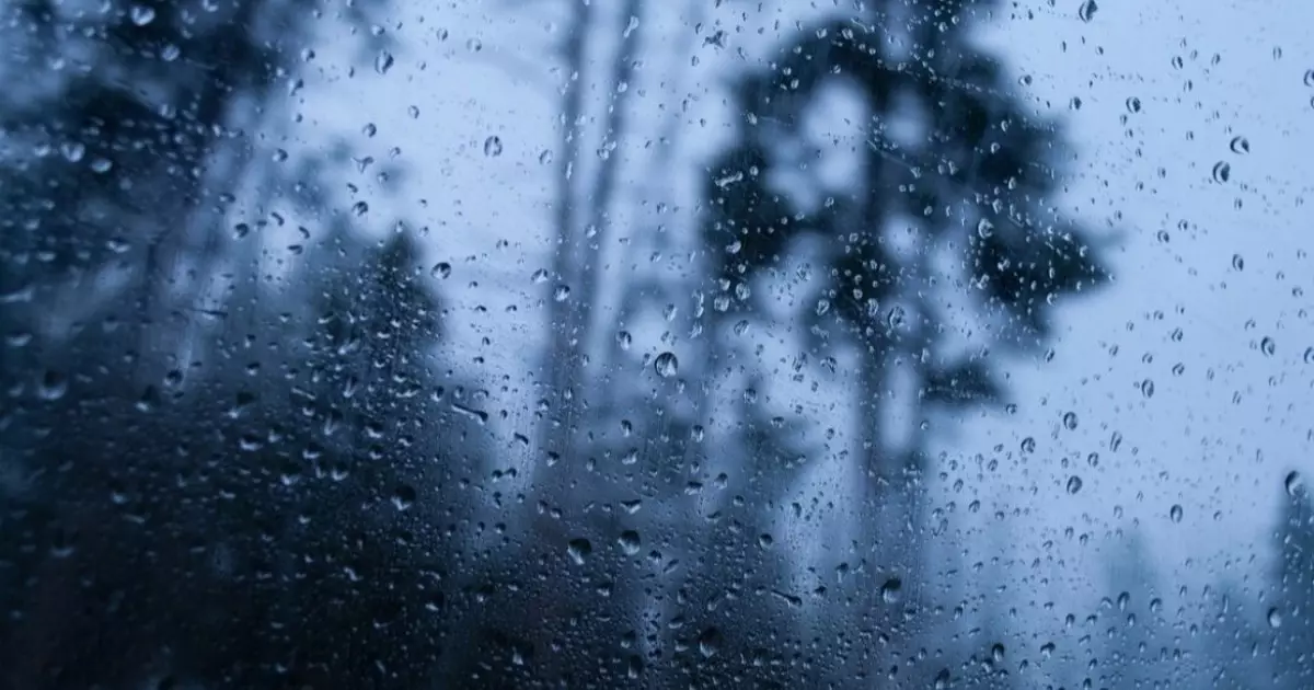  Елдің басым бөлігінде жел күшейіп, нөсер мен найзағай күтіледі 