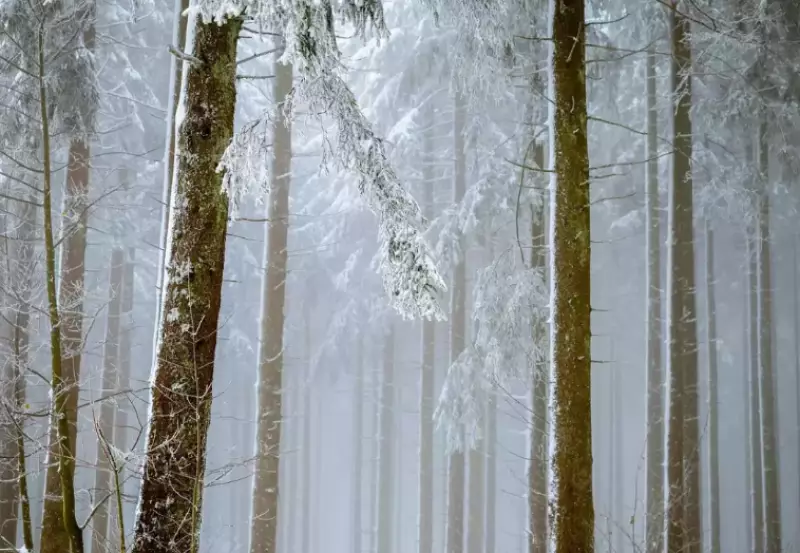 Дожди, грозы и шквалы: Казахстан накроет штормовая погода в воскресенье