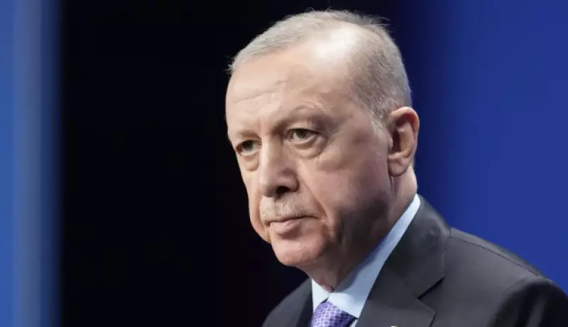 Эрдоган призвал к срочным переговорам из-за кризиса вокруг Ирана