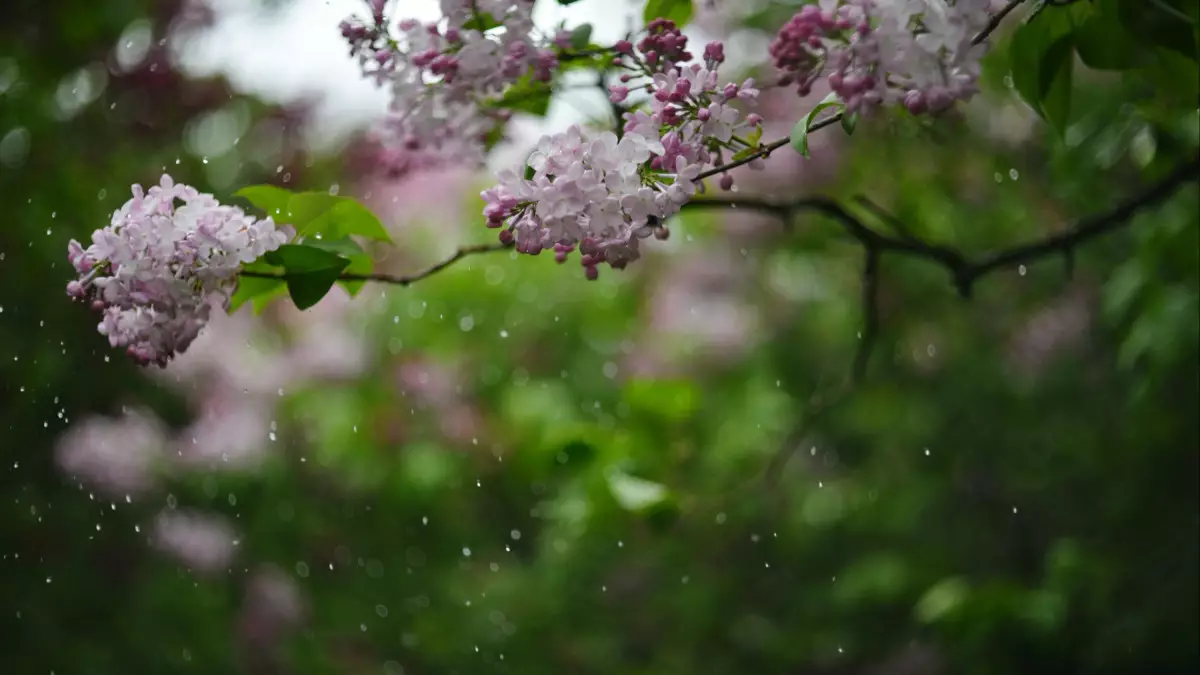 Жексенбіде 16 өңірде дауылды ескерту жарияланды