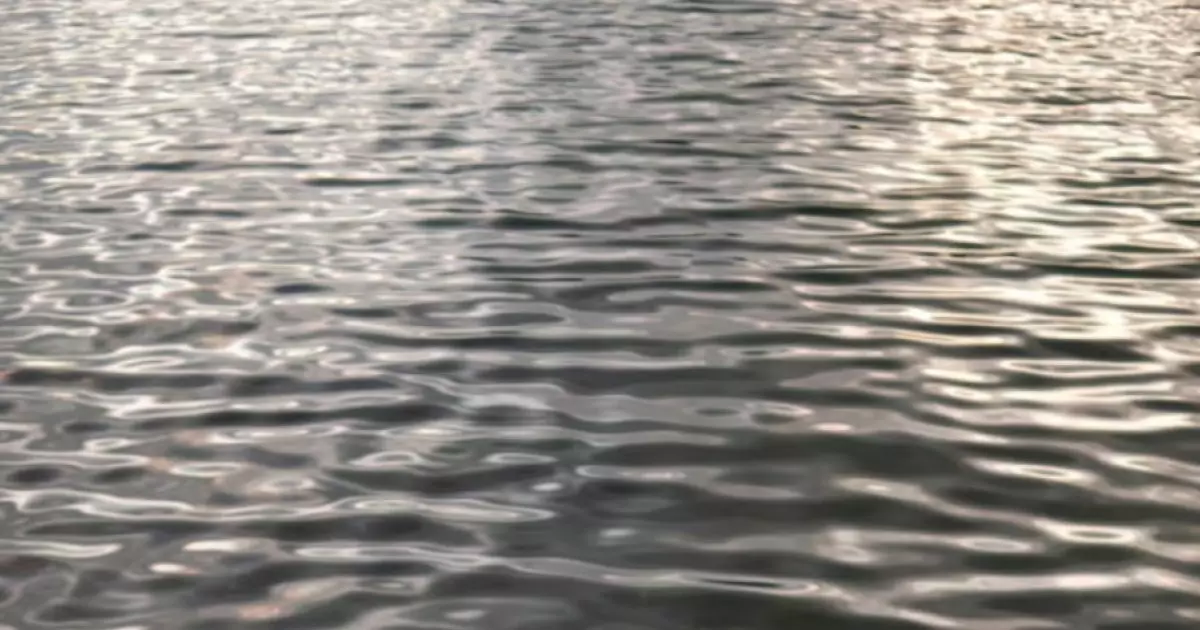  Түркістан облысында өзенге батқан сәбидің денесі табылды 