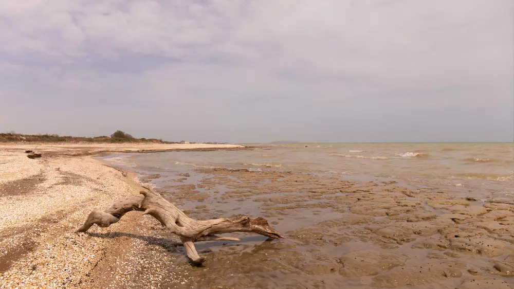 Ученый оценил риск исчезновения Каспийского моря