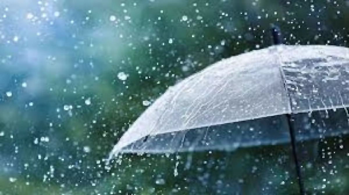 Жаңбыр, жел, найзағай: 5 сәуірге арналған ауа райы болжамы