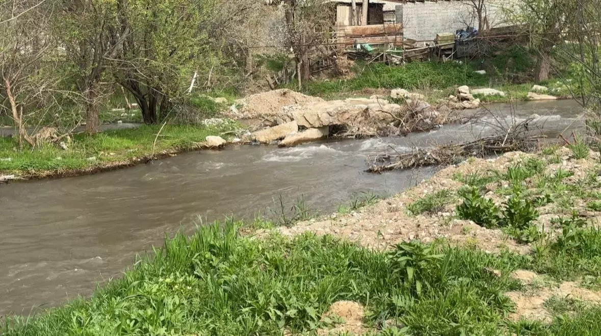 Бірнеше күн ізделген сәби: Раянаның денесі өзеннен табылды