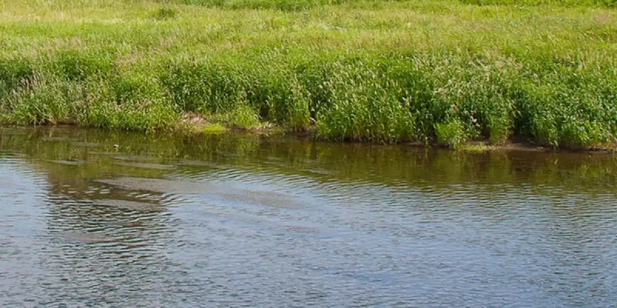 Түркістан облысында суға батып кеткен 2 жастағы сәбидің денесі табылды