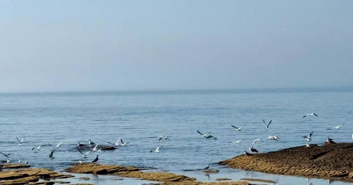  Каспий теңізінің тартылып кету қаупі бар ма: Ғалымдар күтпеген болжам айтты 