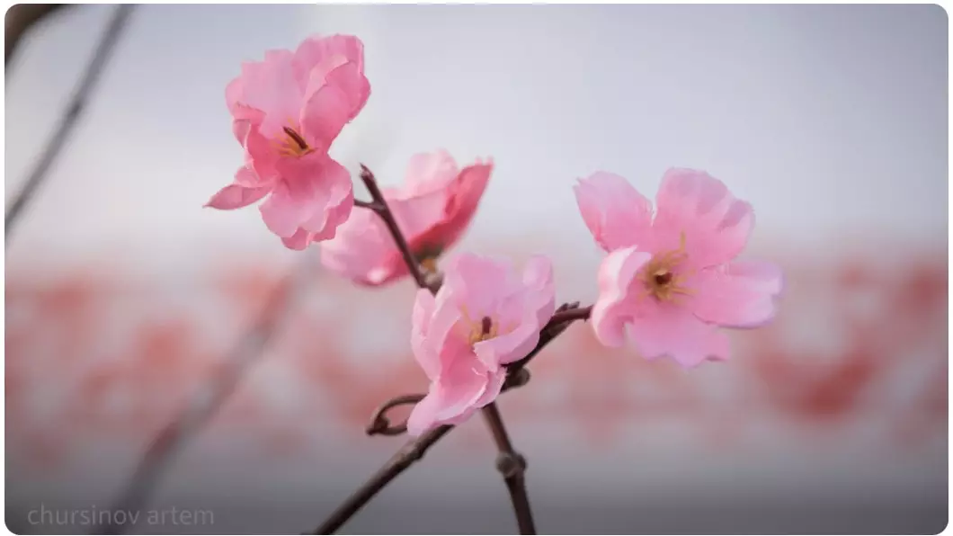 Қазақстандықтар мамыр айында 11 күн демалады: мерекелік кесте жарияланды