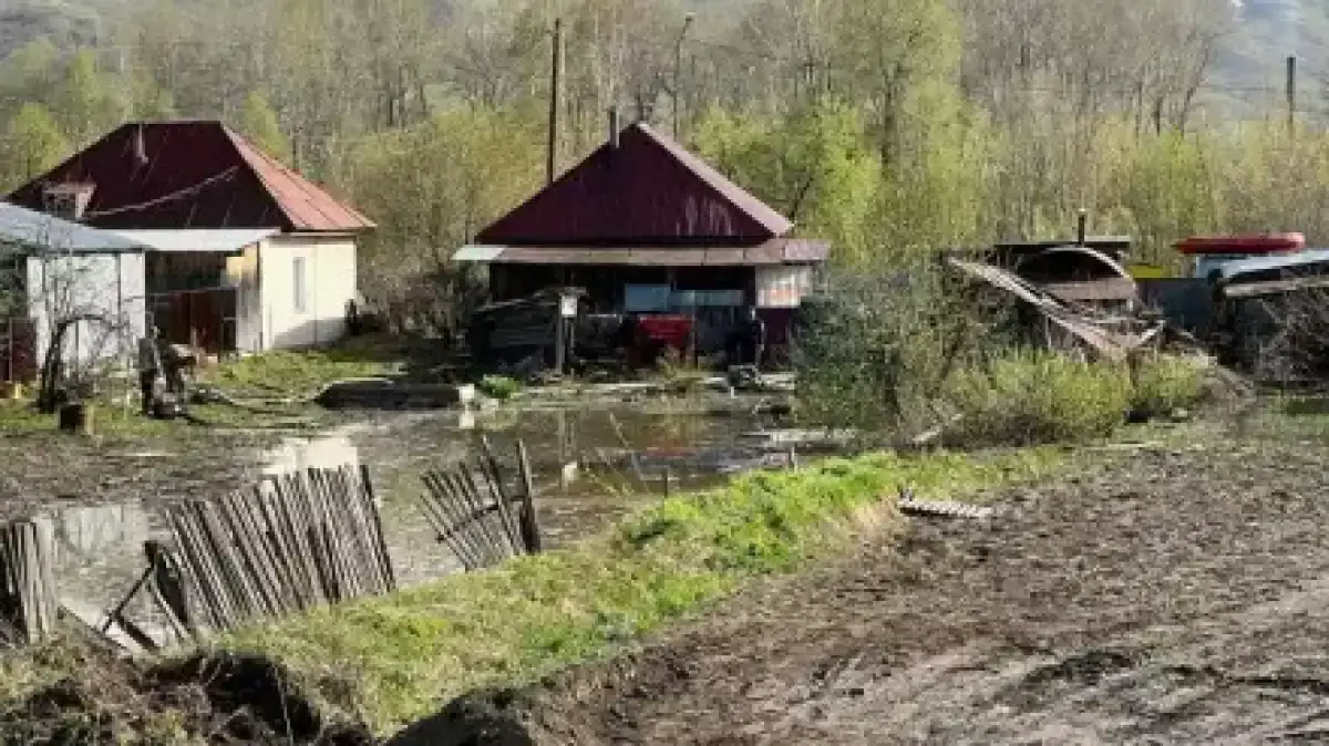 ШҚО-да алкогольге тәуелді ауыл анықталды: полиция дабыл қақты