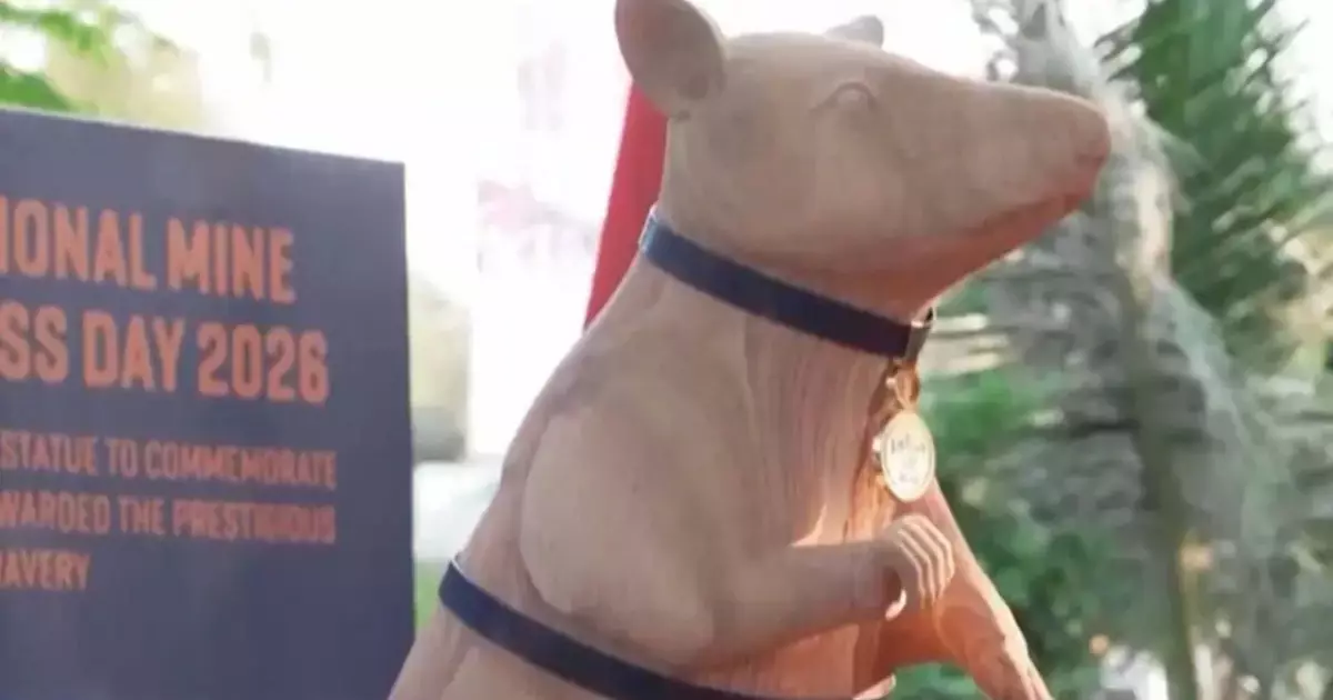  Камбоджада егеуқұйрыққа ескерткіш қойылды 