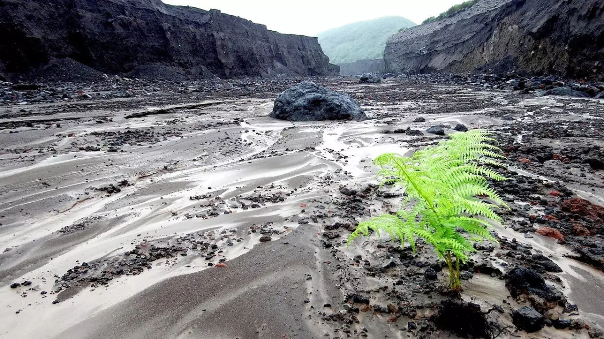 Сильные сели сошли по рекам в Азербайджане из-за проливных дождей