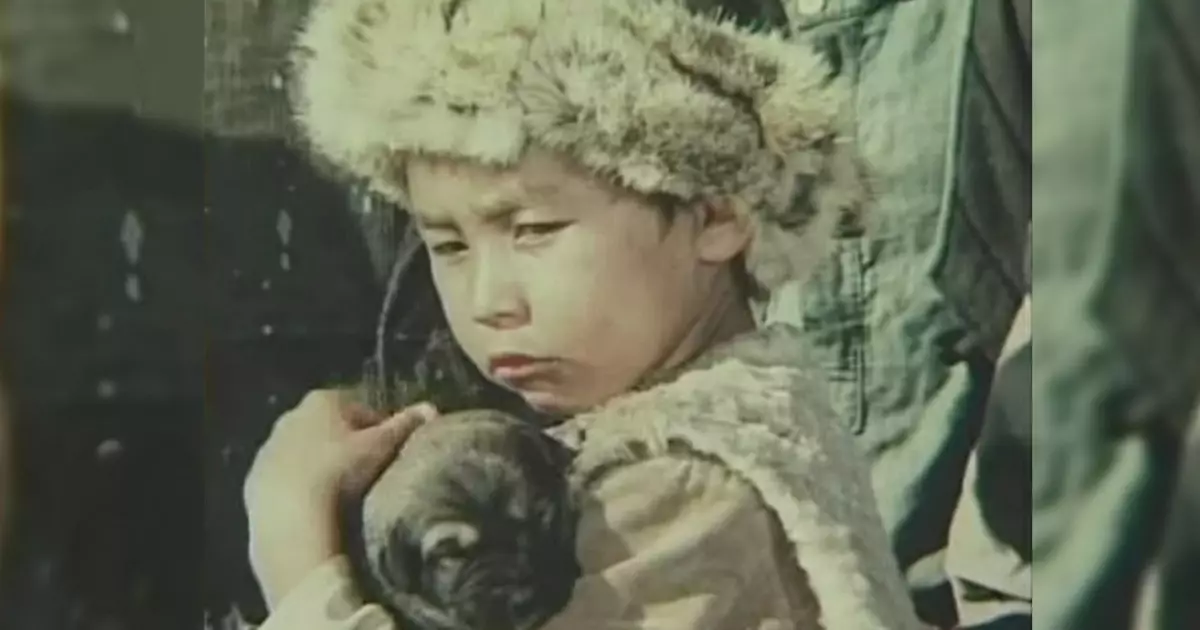   «Менен де зорлар өтті ғой, сый көрмей»: «Көксеректегі» Құрмаш баланың қиын тағдыры жайлы білесіз бе?   