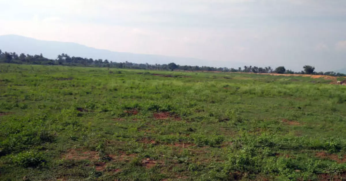  Ақтөбеде 1,9 гектар жер телімі мемлекет меншігіне қайтарылды 