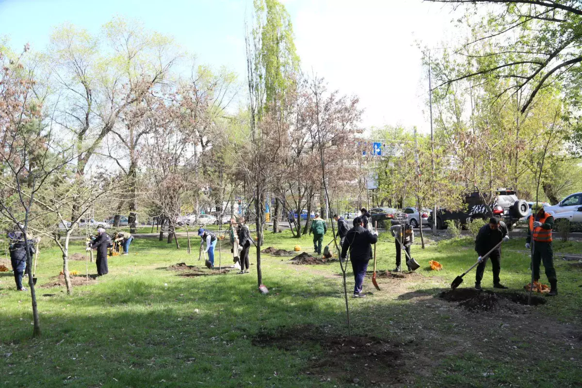 «Таза Қазақстан»: Алматыда 2026 жылы 550 мыңнан астам жасыл желек егіледі
