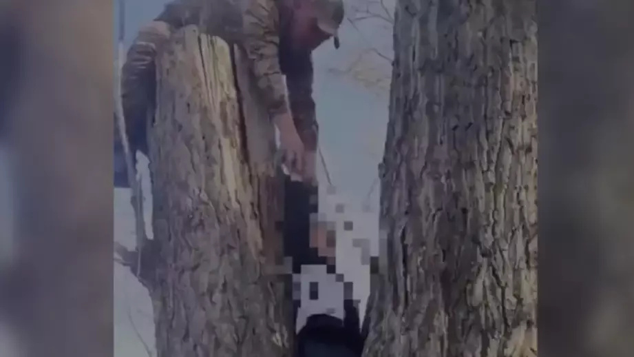 Абай облысында мектеп оқушысы оқыс оқиғаға тап болды