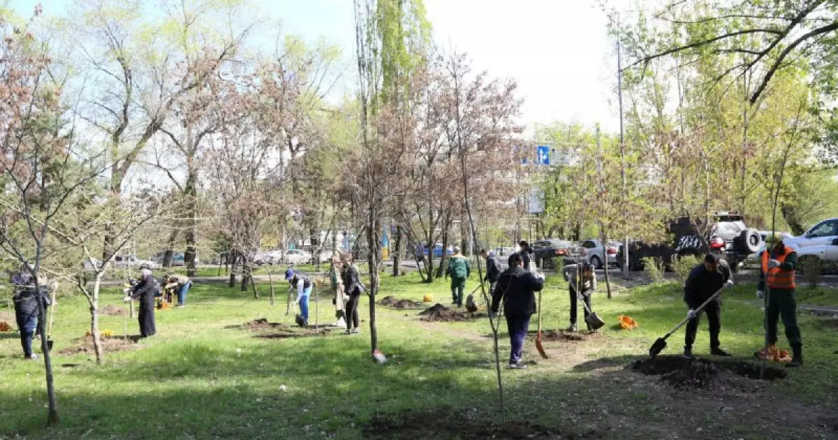  Таза Қазақстан: Биыл Алматыда 550 мыңнан астам ағаш пен бұта егіледі 