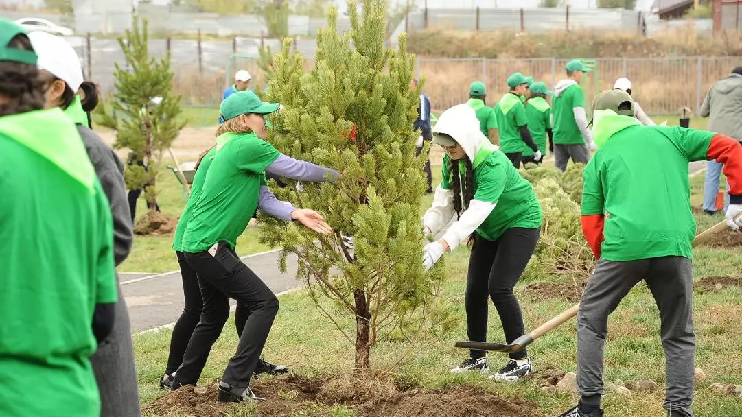 В Алматы начинается масштабное озеленение — что изменится