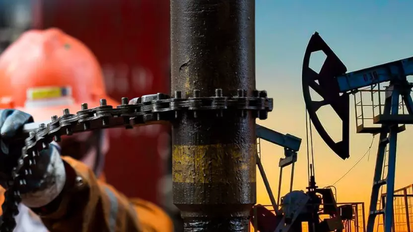 "Инвестиция мен шикізатқа ғана сүйену дұрыс емес": Сарапшы OPEC+ шешімін түсіндірді 