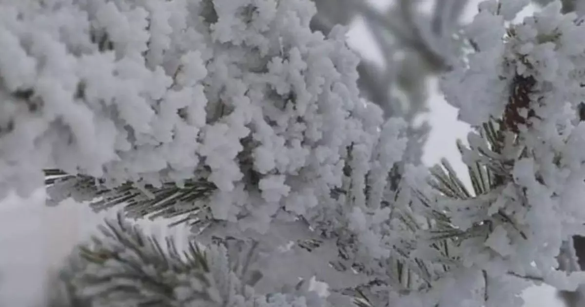  Алдағы күндері күн күрт суытып, қар жауады 